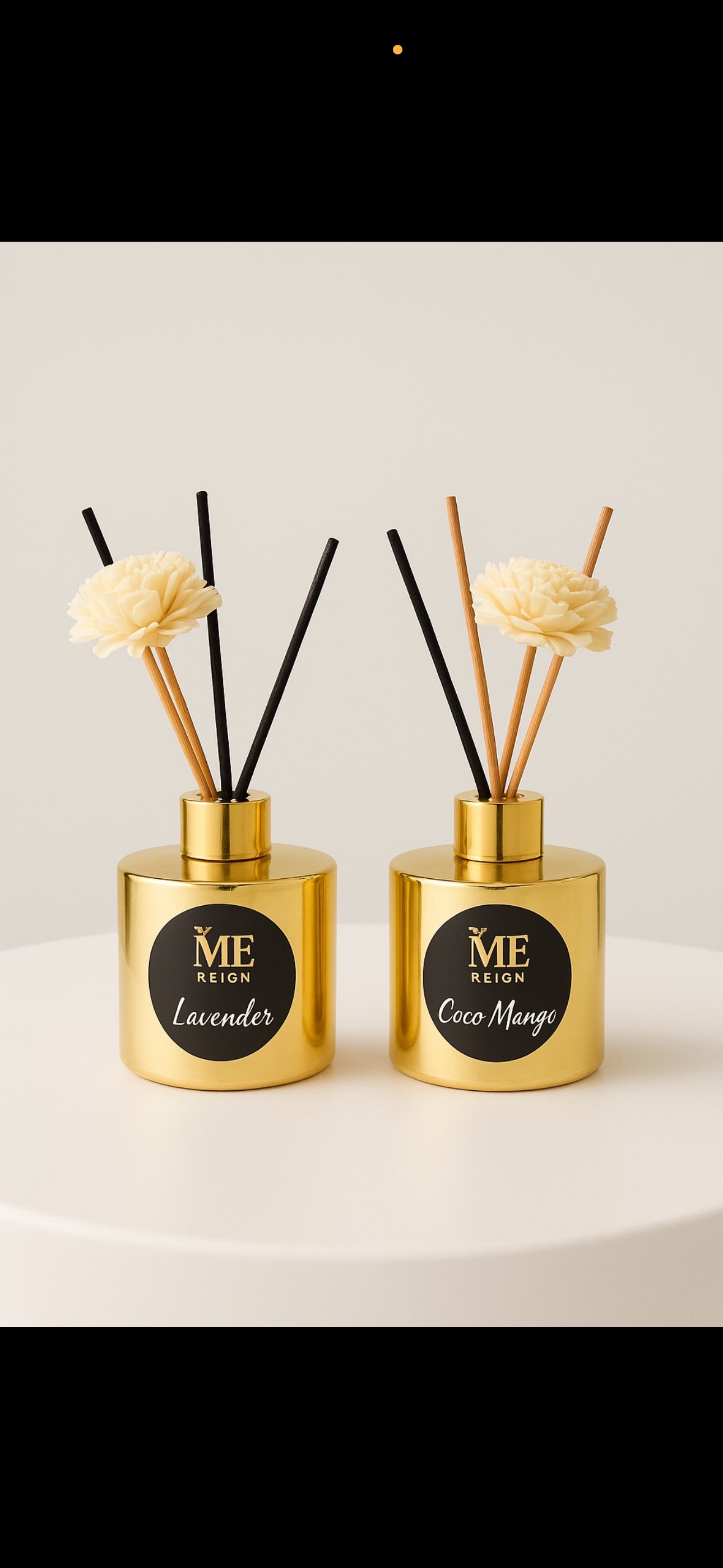 CAREES ME  Coco Mango Room Diffuser